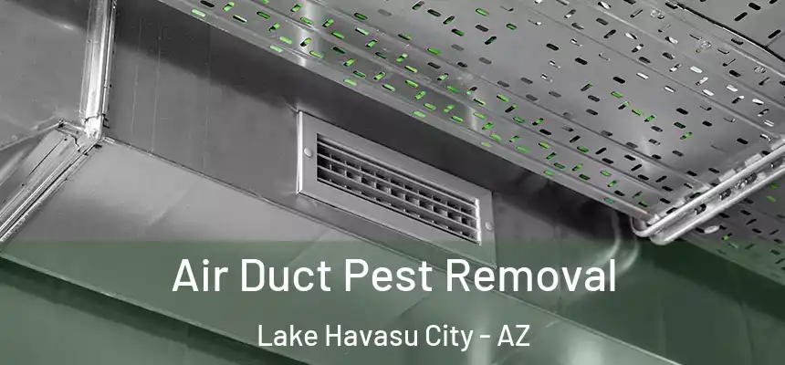  Air Duct Pest Removal Lake Havasu City - AZ