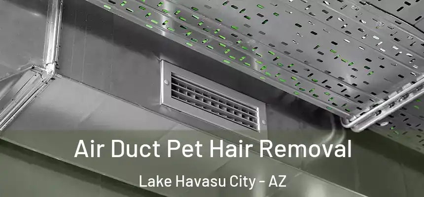  Air Duct Pet Hair Removal Lake Havasu City - AZ