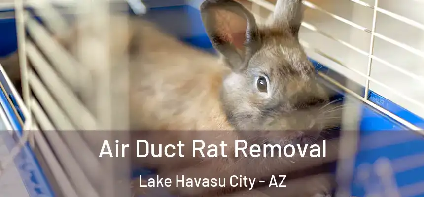 Air Duct Rat Removal Lake Havasu City - AZ