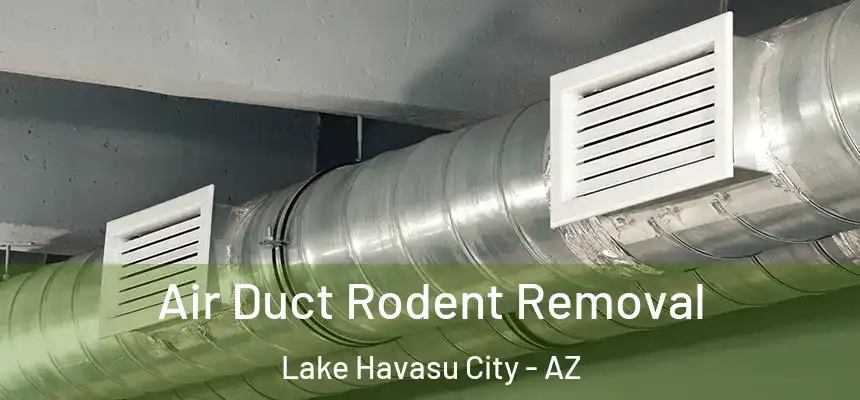 Air Duct Rodent Removal Lake Havasu City - AZ