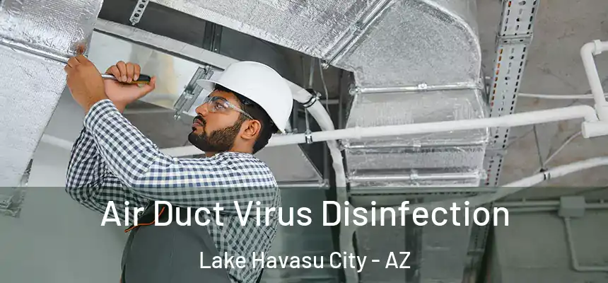  Air Duct Virus Disinfection Lake Havasu City - AZ