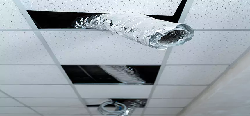 Our Air Duct Pet Hair Removal Services in Lake Havasu City, AZ