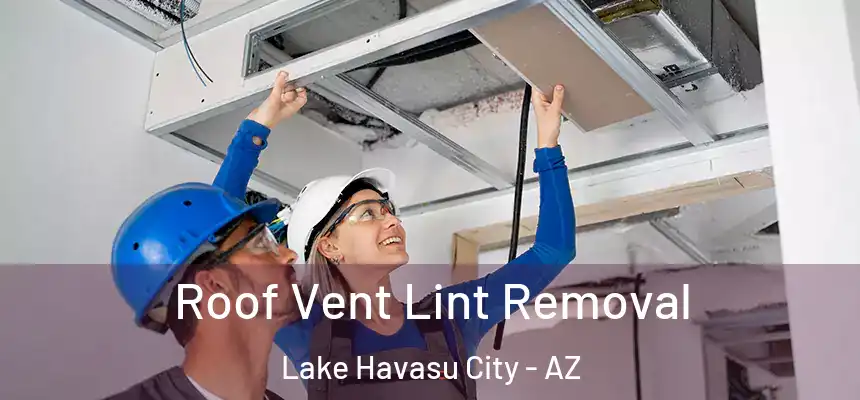  Roof Vent Lint Removal Lake Havasu City - AZ