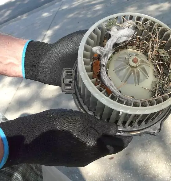 About Air Duct Mice Removal in Lake Havasu City, AZ