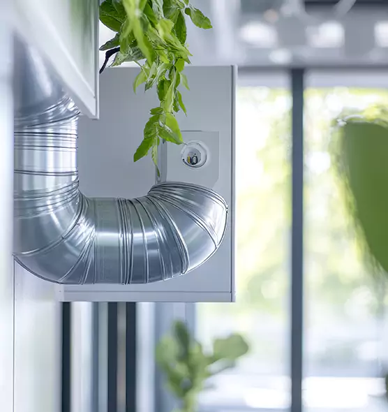 Professional Eco-Friendly Duct Cleaning Services in Lake Havasu City, AZ