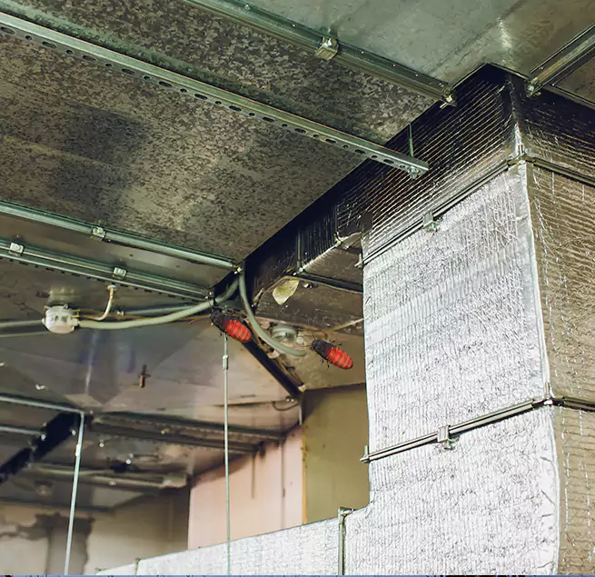 Why Homeowners & Businesses Trust Us in Lake Havasu City, AZ?