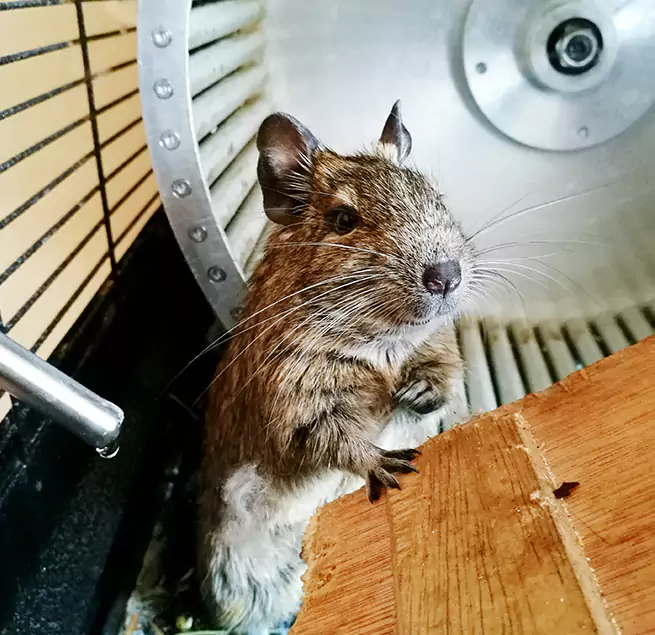 Why Homeowners & Businesses Trust Us Lake Havasu City, AZ?