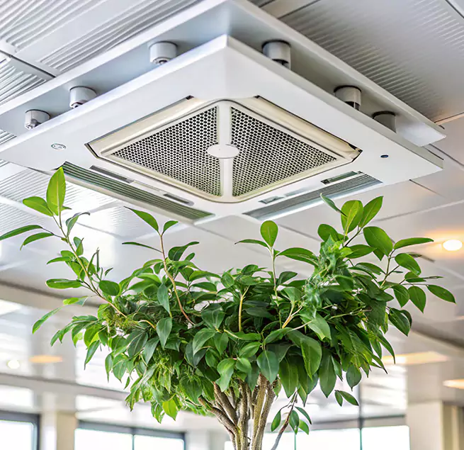 Why Homeowners & Businesses Trust Us in Lake Havasu City, AZ?